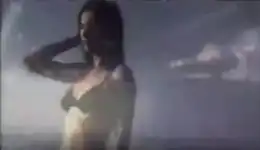 A screenshot of the music video to Ivy's 2001 single "Edge of the Ocean", showing lead singer Dominique Durand wearing a black bikini and standing in front of the sun on a beach.