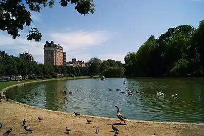 View of the Ixelles Ponds towards the Place Eugène Flagey