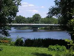 Jacques-Bizard Bridge seen between trees.