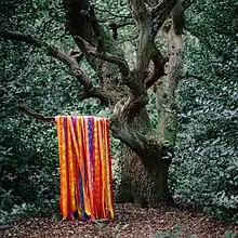 Colorful ribbons hanging from a tree branch