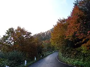 Japan National Route 286 Sasaya-pass.jpg