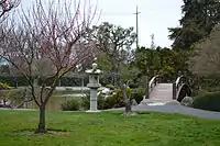 The garden around the upper pond