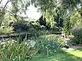 Japanese Garden at Hammersmith Park