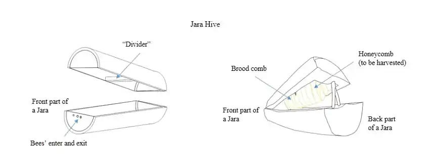 Jara hive structure