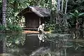 Amazon Region - Fisherman's Lake