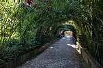 The Paseo de las Adelfas (Walk of the Oleanders)