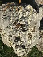 Soil clod featuring yellow streaks of jarosite accumulation