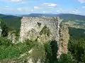 Ruins of one of the storage wings in the eastern perimeter of the castle (August 2008)