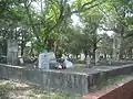 A Confederate grave among other graves.