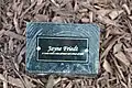 Plaque honoring  Jayne Friedt