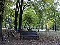 Park in the Anička area during autumn