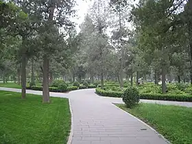 A walk through the park