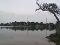 The above picture is of the bank of the Jeeran Pond. It also shows two telephone towers.