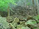 Jizera Mountains Beech Forest