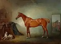 Lord Henry Bentinck's chestnut hunter 'Firebird'