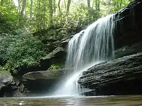 Ohiopyle State Park,Jonathan Run Falls