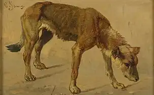 Dog