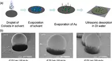 Example of janus nanoparticles fabricated by a masking process