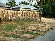 Dry jute fibers laid out in the outside