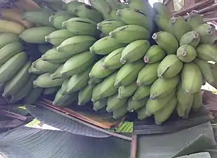 K.Pudur Village Banana tree showing fruits