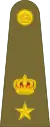 Lieutenant-Colonel