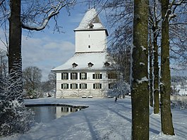 Wil Castle (Schloss Wil)