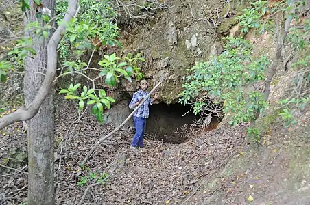 Mine, outside looking in