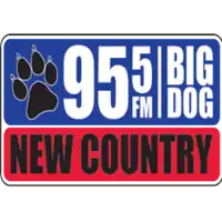 Big Dog 95.5 logo