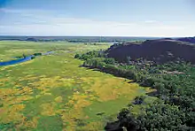 Overhead view of grassy wetlands, with a river cutting through and a forested escarpment to the right