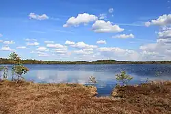 Lake Kakerdi in Kakerdaja bog