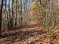 Kal-Haven Trail facing west.