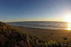 Kalaloch Beach