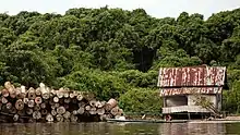 photograph of trees tied together floating in the river next to small structure made of corrugated materials. Dense green forestation in the background.