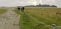 Kalø Castle and the 500 m. cobbled dam to the island.