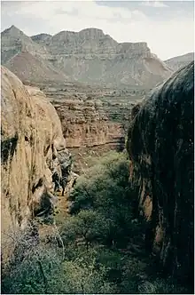 Kanab Creek