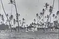 Queen Kapiʻolani's Waikīkī residence probably Pualeilani