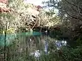 Fern Pool in Karijini National Park is a popular destination for tourists