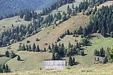 Natural landscape in Slătioara