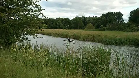 Kayaking