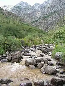 Outside of Shymkent, in the Turkistan Province of Kazakhstan