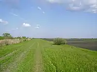 Landscape near Sarkad