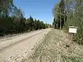 Road through the forest