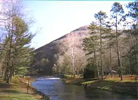 A stream flows between several trees with a pyramidal-shaped mountain in the background