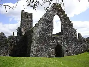 Kilcrea Friary, mid-Cork. Founded 1465