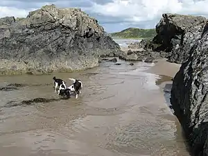 Killantringan or Kilringan Bay, below an ancient Dun