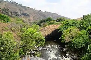 The Kiwira God's bridge.