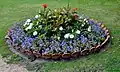 Flower bed with Canna near Lions Fountain