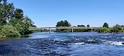 Daytime image of Knickerbocker Bicycle Bridge, viewed from the river.