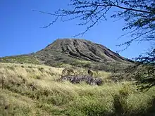 Koko Crater from the base of the old railway trail