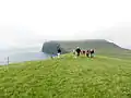 View from the southern mountain of Koltur